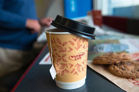 Wild Bean Cafe - Croydon - Go Out 0