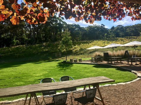 Deviation Road Winery - Go Out 0