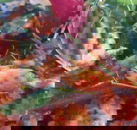 Jack Style Thai Restaurant - Go Out