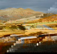 Optimiste Wines - Go Out