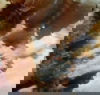 Captain Roc's - Go Out