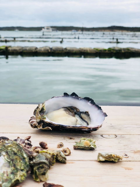 Oyster HQ - Go Out 1