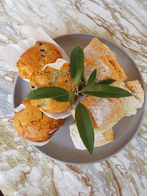 Paperbark Cafe At Kuranga Native Nursery - Go Out 1
