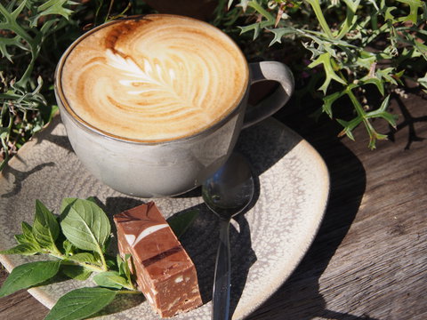 Paperbark Cafe At Kuranga Native Nursery - Go Out 2