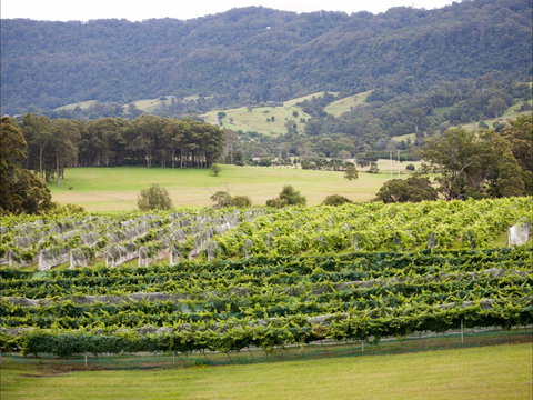 Silos Estate And Wileys Creek - Go Out 1