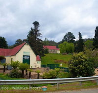 Frank's Cider House and Cafe - Pubs and Clubs