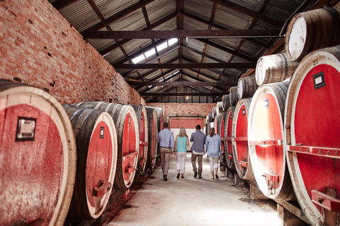 Campbells Wines - Go Out 1