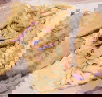 Fish Station - Pubs and Clubs