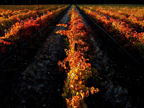 Sandhurst Ridge - Go Out 0