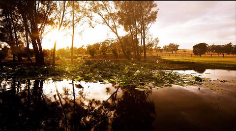 Hunter's Dream - Go Out 2