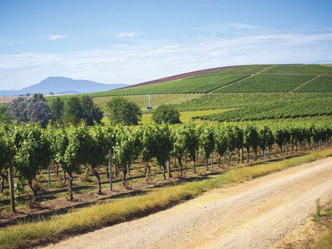 Jansz Tasmania - Go Out 0