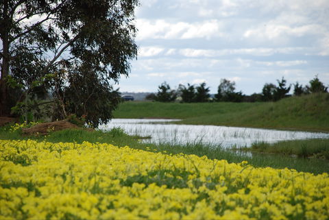 Kisaan Estate Winery - Go Out 2