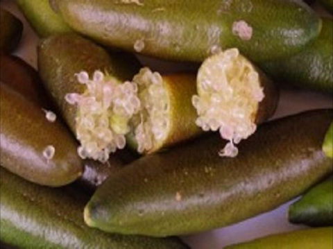 Sandy Creek Olives And Finger Limes - Go Out 0