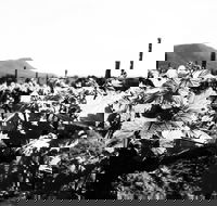 Ballabourneen Wine Co - Go Out