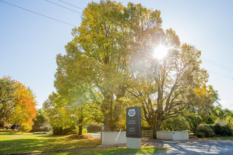 Brown Brothers Milawa Vineyard - Pubs and Clubs 0