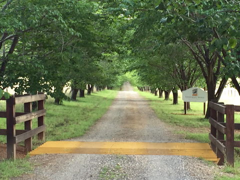 Stockmans Ridge Wines - Go Out 1