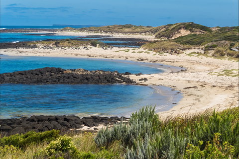 Time And Tide Tearoom - Pubs and Clubs 2