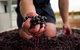 Tomfoolery Wines - thumb 0