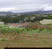 Villa d Esta Vineyard - Go Out