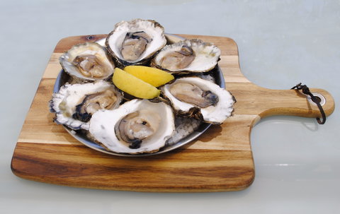 The Little Mussel Cafe - Go Out 1