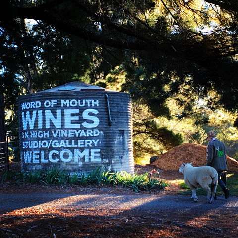 Word Of Mouth Wines - Pubs and Clubs 1