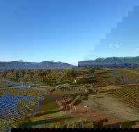 Mistletoe Winery - Go Out