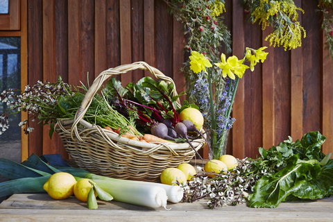 O'Reilly's Orchard - Go Out 1