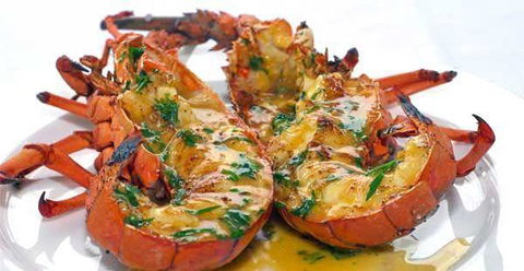 Chefs Of Tandoori - Go Out 27