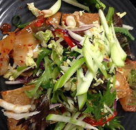 Kingscliff Surf Club - Cudgen Headland SLSC - Go Out