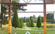 Linden Tree At Lindenderry - thumb 10