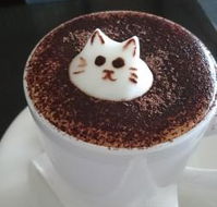 Cafe 2340 - Go Out