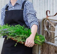 Verdure Bistro - Go Out