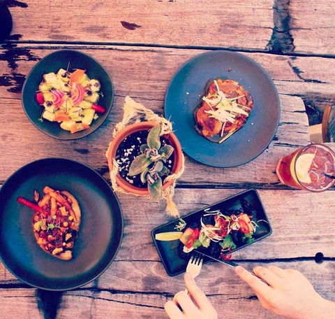 Scenic Rim Brewery & Cafe - Pubs and Clubs 7