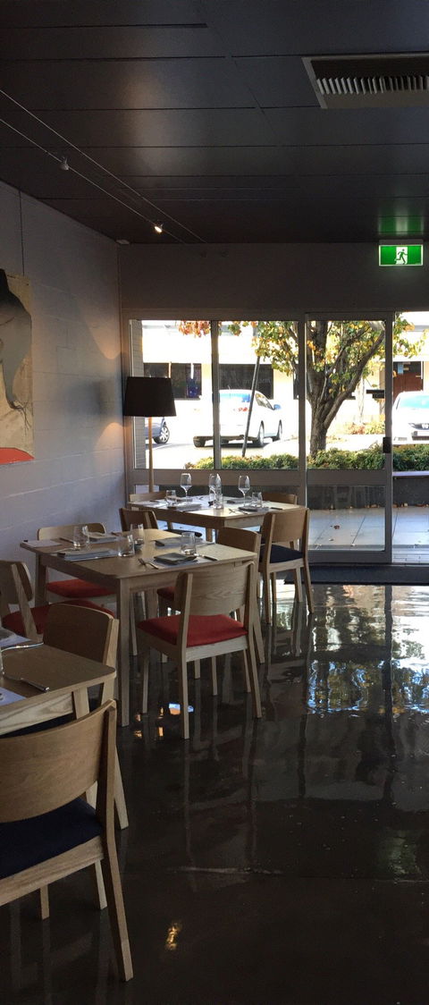 Zev's Bistro - Pubs and Clubs 6