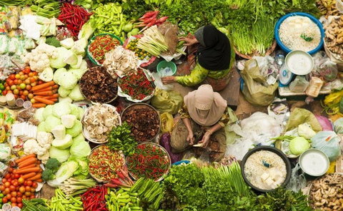 Fresh - Natural Asian - Go Out 17