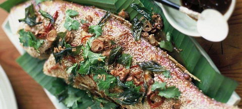 Fresh - Natural Asian - Go Out 1