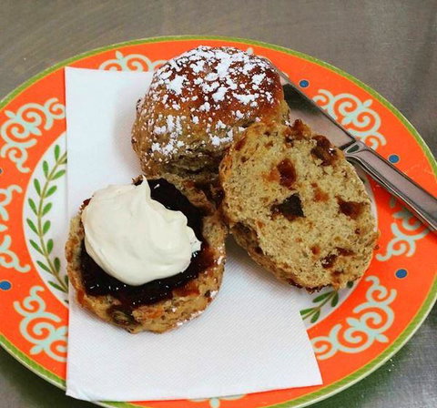 The Laughing Fox Cafe - Go Out 5