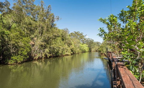 The Sunken Monkey - Pubs and Clubs 7