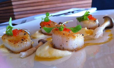 Tea Gardens Boatshed - Go Out 2