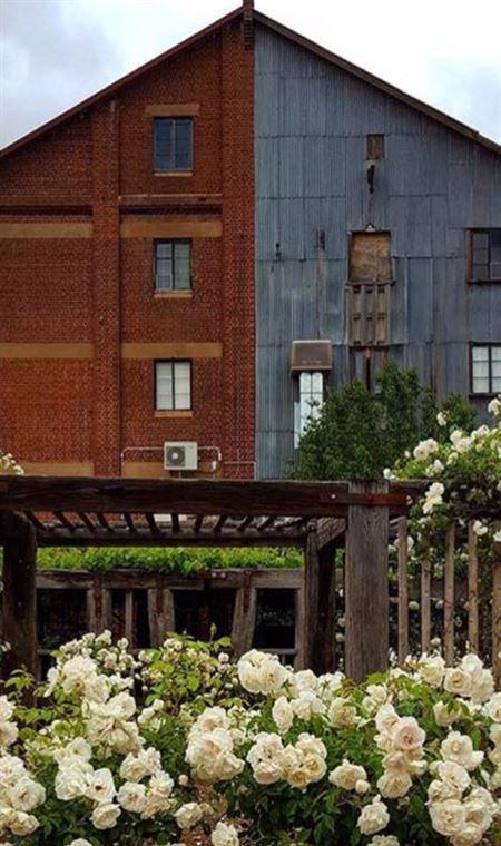 The Mill Room - Go Out 4