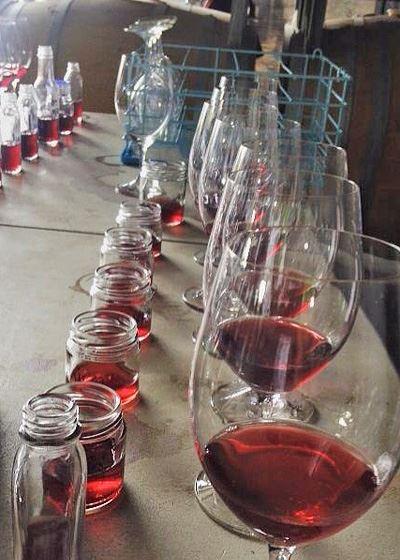 Currency Creek Winery Restaurant - Pubs and Clubs 13