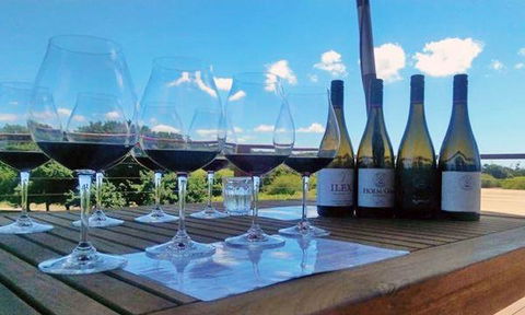 Currency Creek Winery Restaurant - Pubs and Clubs 14