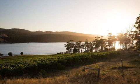 Currency Creek Winery Restaurant - Pubs and Clubs 8