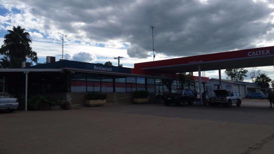 Dingo QLD Pubs and Clubs