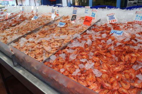 Northern Rivers Seafood - Go Out 1