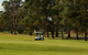 Tanilba Bay Golf Club - thumb 0