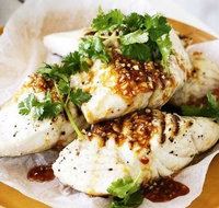 Seafood Cruise Mooloolaba - Pubs and Clubs