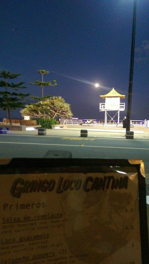 Gringo Loco Cantina - Pubs and Clubs 5