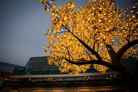 Tradies Helensburgh - Go Out 0