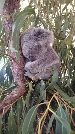 Bommie Restaurant - Go Out 5